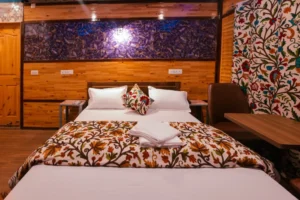 shanti_srinagar_1