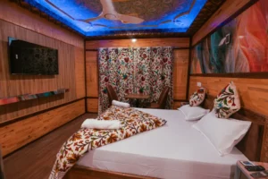 shanti_srinagar_13
